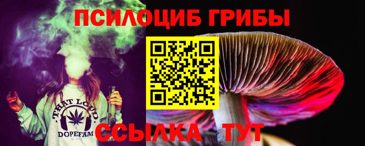 Богданович  Псилоцибиновые грибы мицелий  Галлюциногенные грибы Psilocybine cubensis  Вход с VPN 
